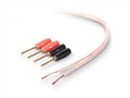 ؐQ(mo)ףϺ޹˾:AV23002zh100 PureAV 18-
