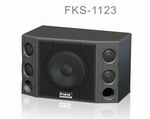 Vw_(d)푌I(y)޹˾:FKS-1123
